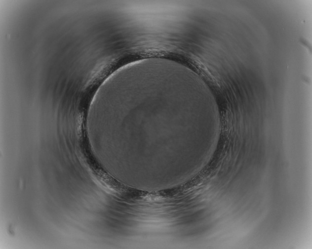 X0000095550742200801111453