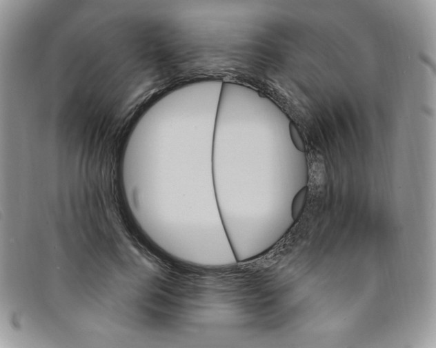 X0000095550744200801111453