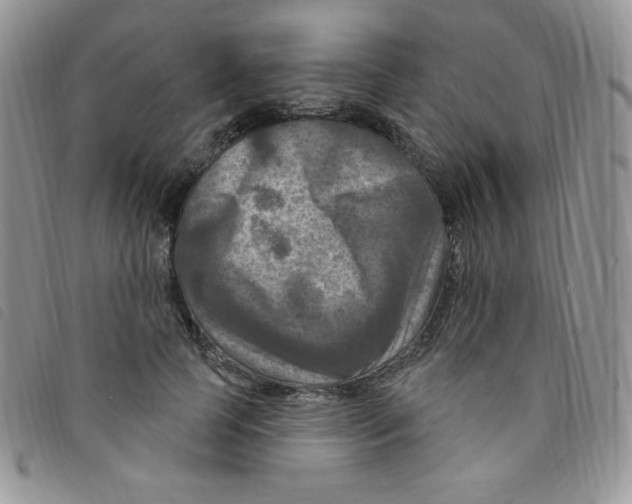 X0000095550745200801111453