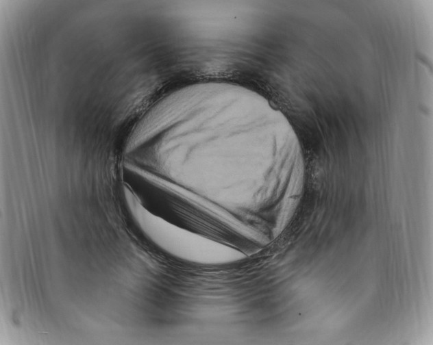 X0000095550746200801111453