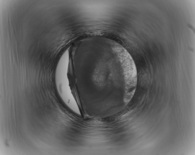 X0000095550747200801111453