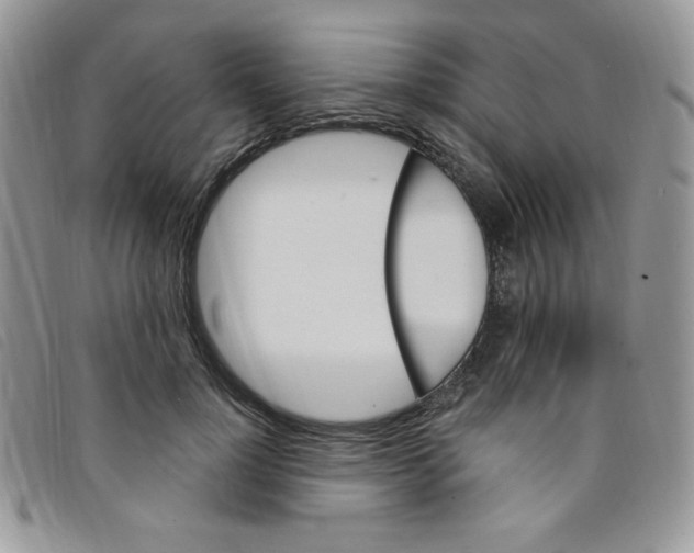 X0000095550748200801111453