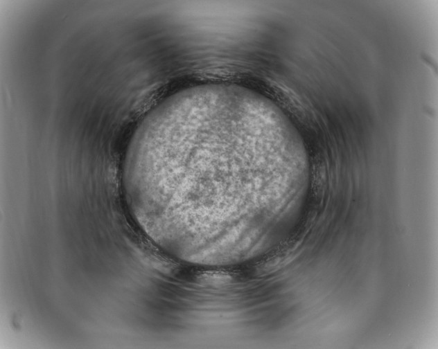 X0000095550749200801111453