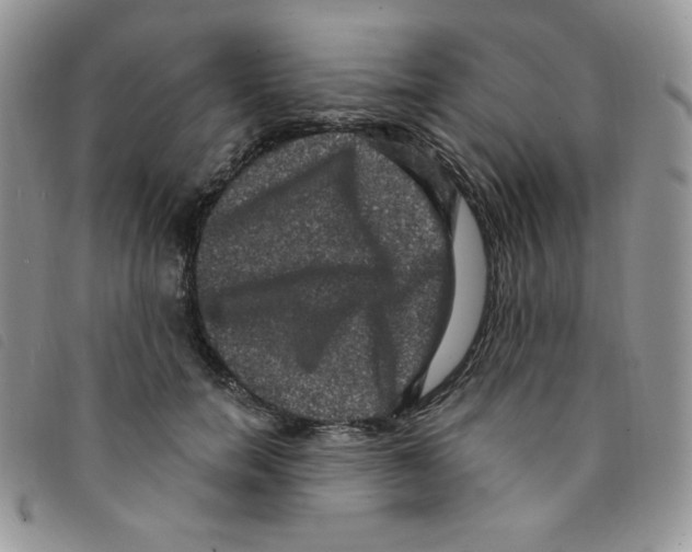 X0000095550750200801111453