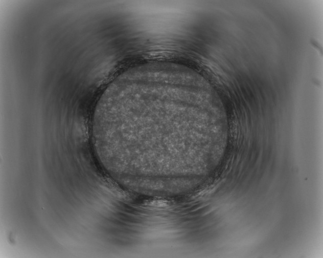 X0000095550751200801111453