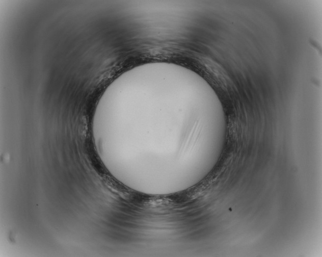 X0000095550752200801111453