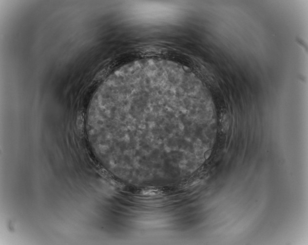 X0000095550753200801111453