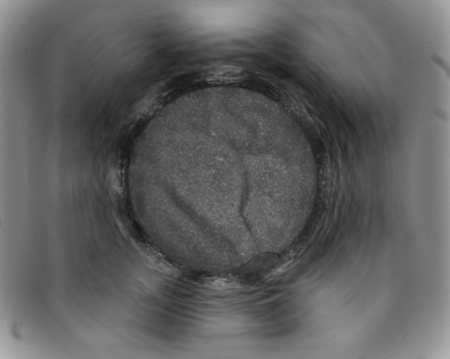 X0000095550755200801111453