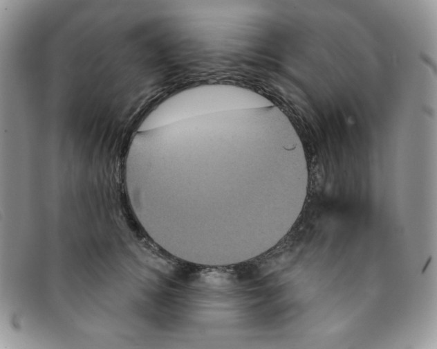 X0000095550756200801111453