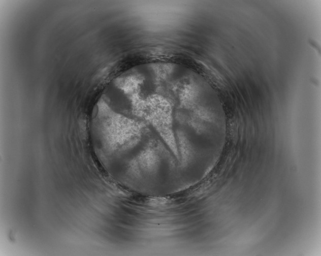 X0000095550757200801111453