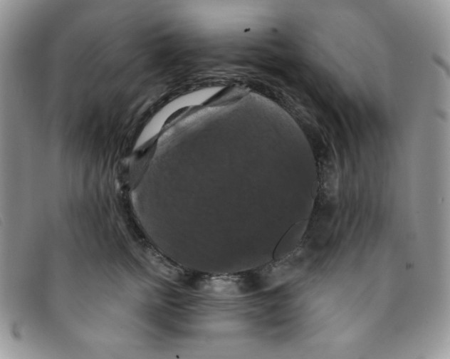 X0000095550758200801111453