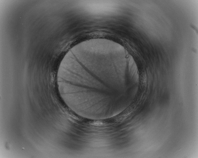 X0000095550759200801111453