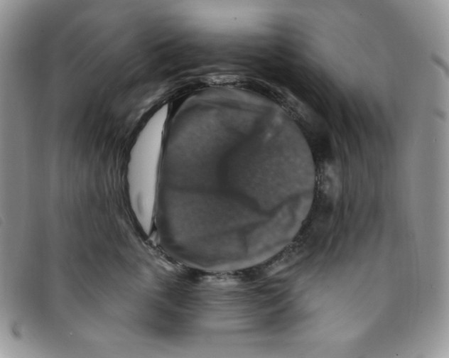 X0000095550763200801111454