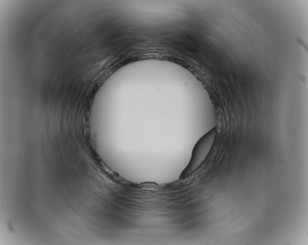 X0000095550764200801111454