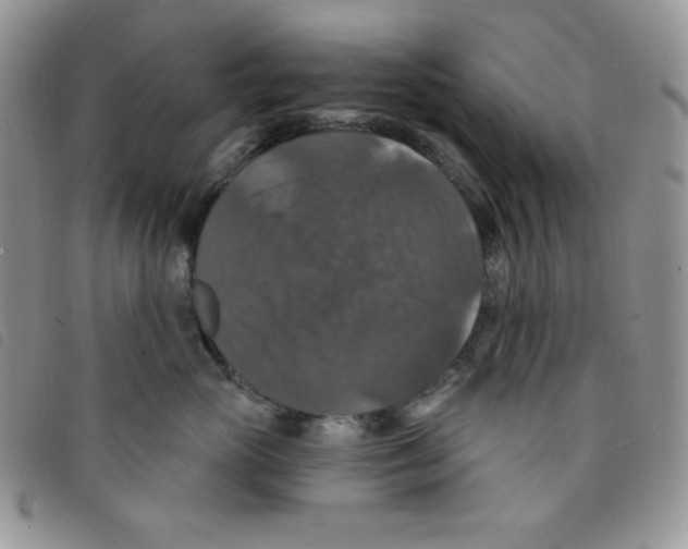 X0000095550765200801111454