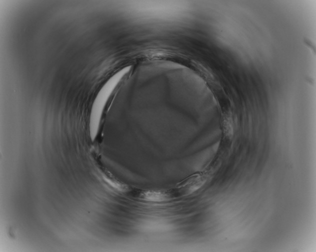 X0000095550766200801111454