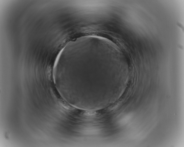 X0000095550767200801111454