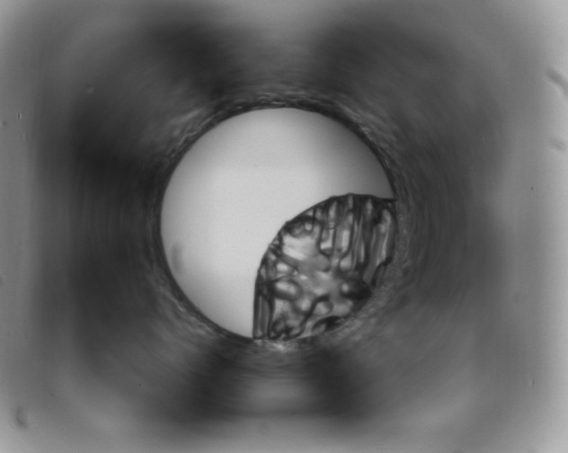 X0000095550768200801111454