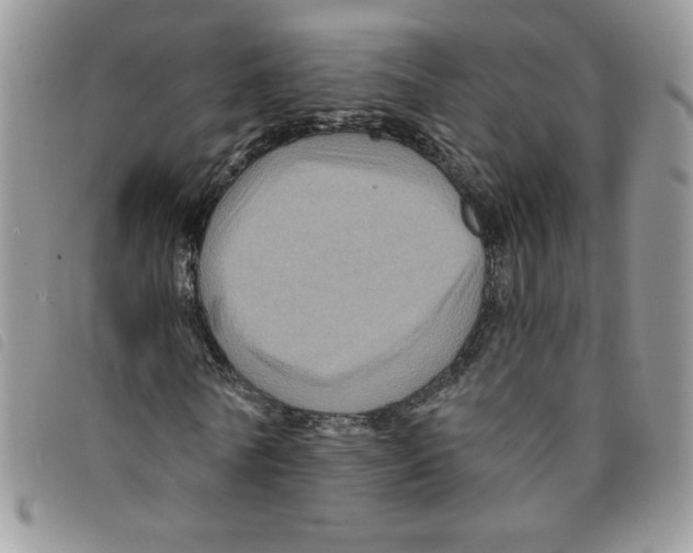 X0000095550770200801111453