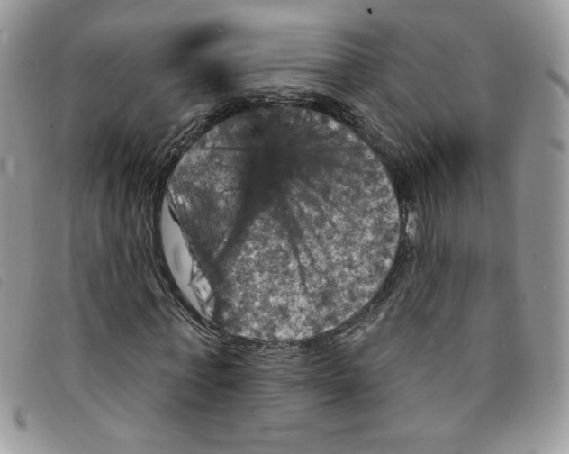 X0000095550771200801111453