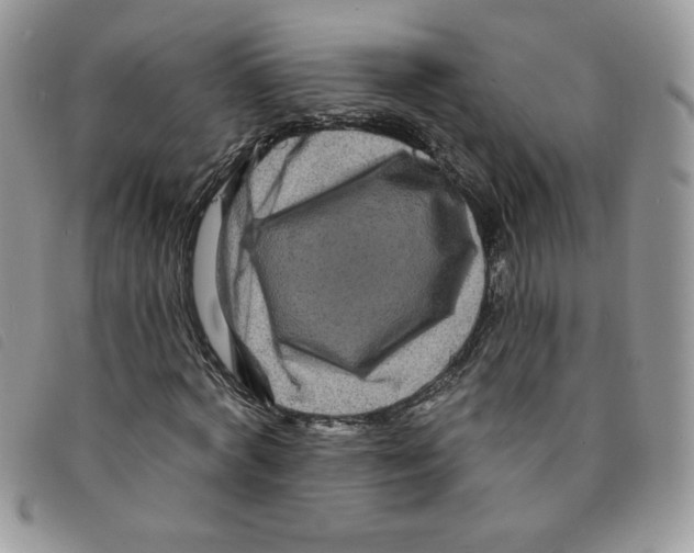 X0000095550772200801111453