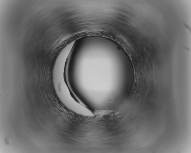 X0000095550773200801111453