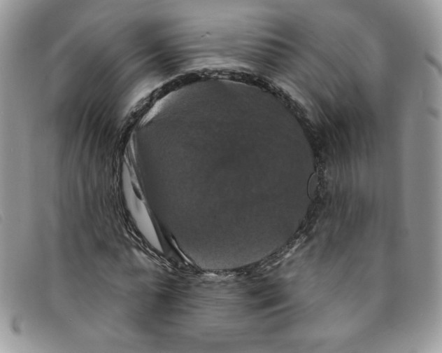 X0000095550775200801111453