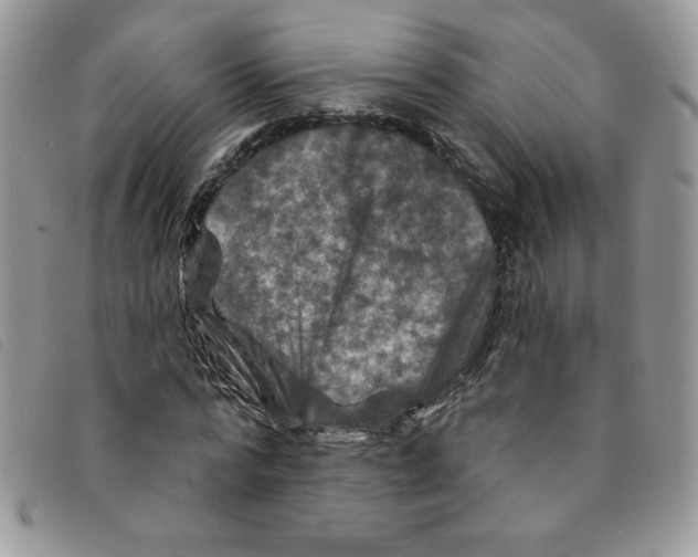 X0000095550776200801111453