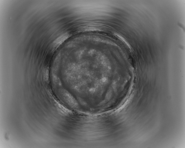 X0000095550777200801111453