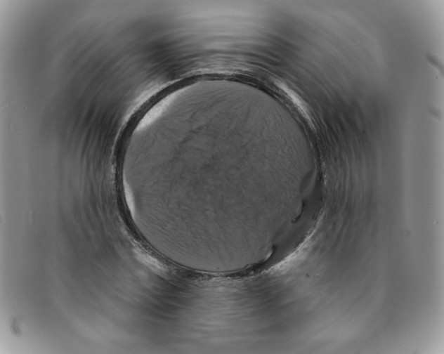 X0000095550779200801111453