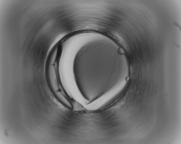 X0000095550780200801111453