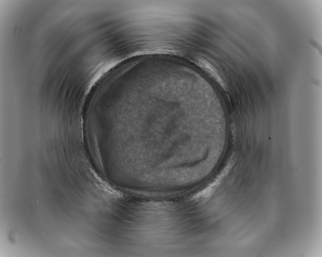 X0000095550781200801111453