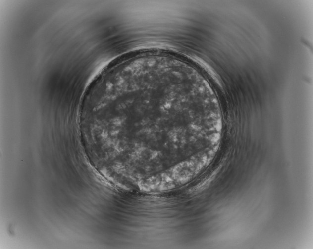 X0000095550783200801111453