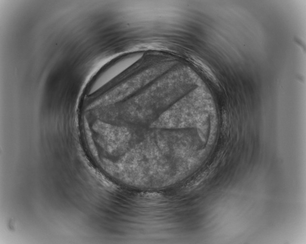 X0000095550784200801111453