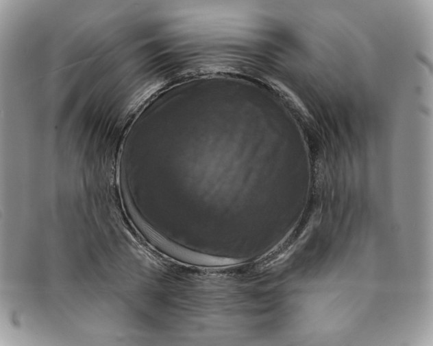 X0000095550785200801111453