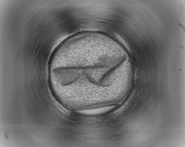 X0000095550787200801111453