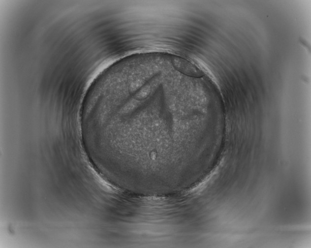 X0000095550789200801111453