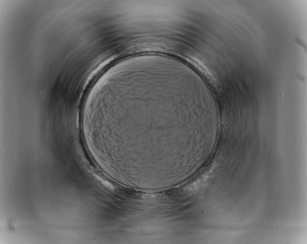 X0000095550790200801111453