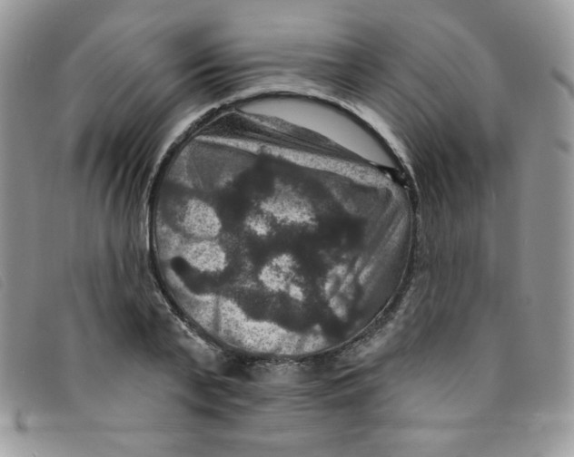 X0000095550791200801111453