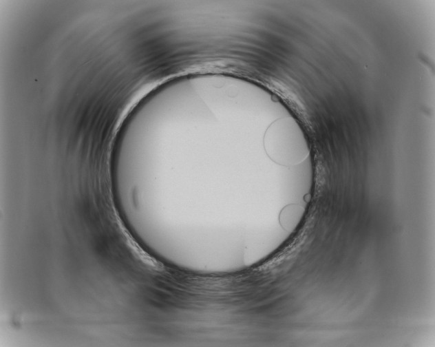 X0000095550792200801111453