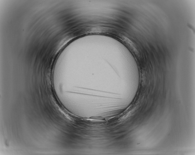 X0000095550794200801111453