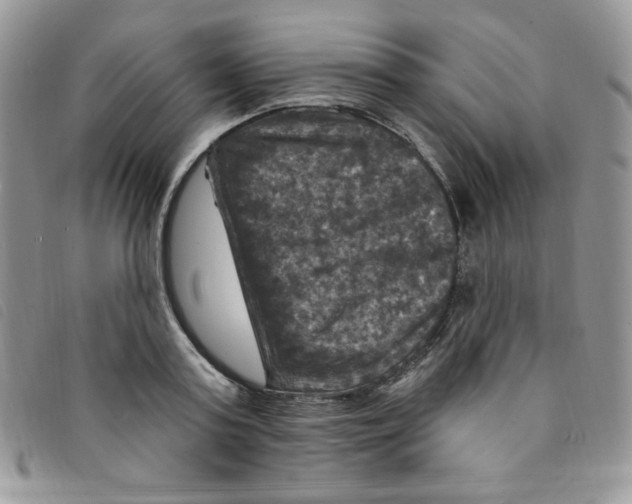 X0000095550795200801111453