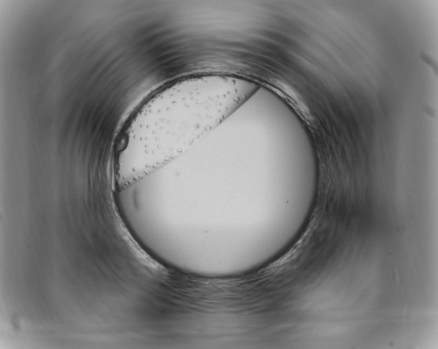 X0000095550796200801111453