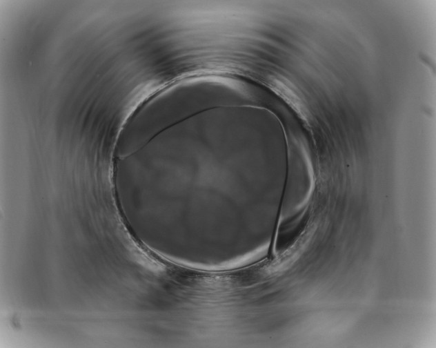 X0000095550797200801111453