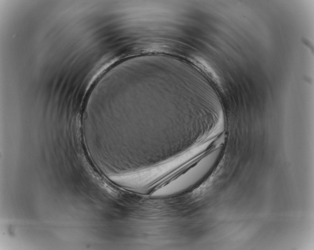 X0000095550798200801111453