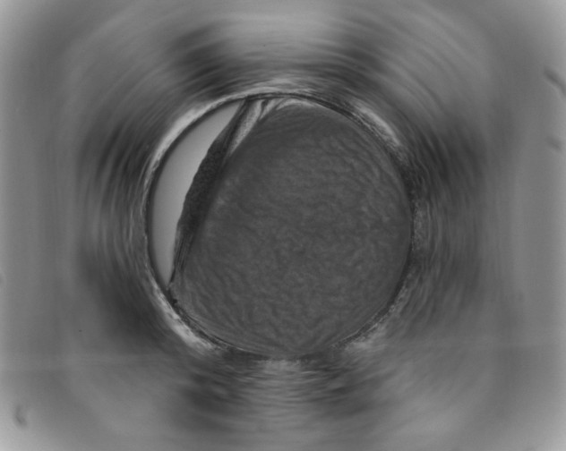 X0000095550800200801111453