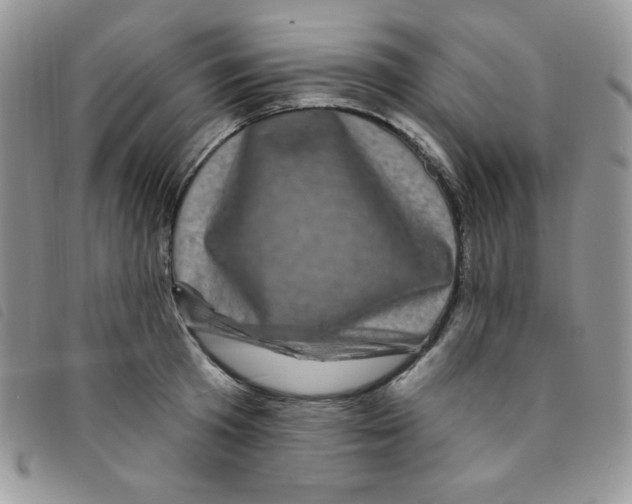 X0000095550801200801111453