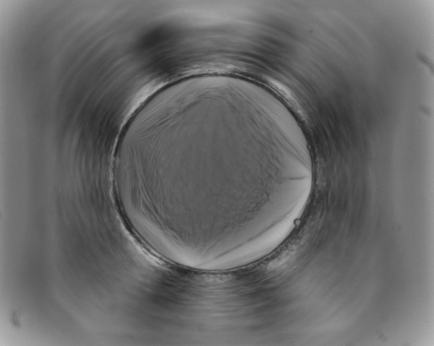 X0000095550802200801111452