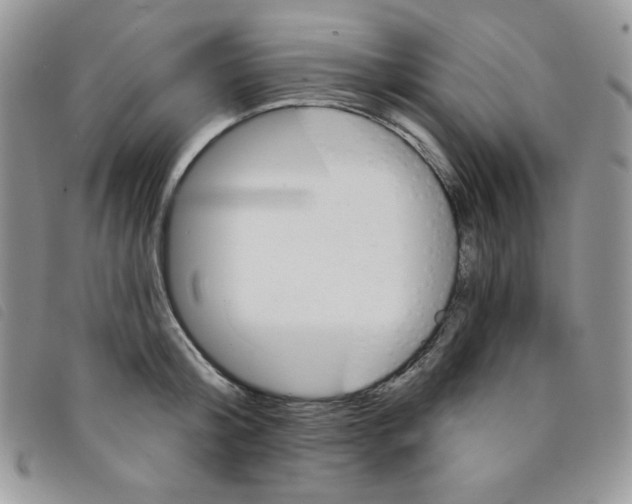 X0000095550804200801111452