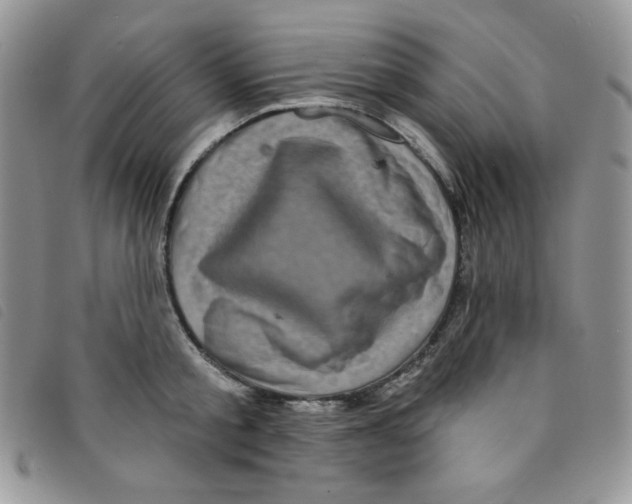 X0000095550805200801111452